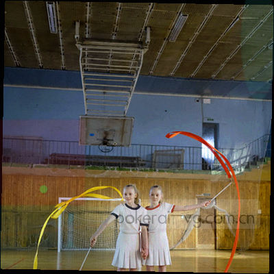 蓝金色调的盾牌与锁具线描图形，象征平台信息安全与加密保护